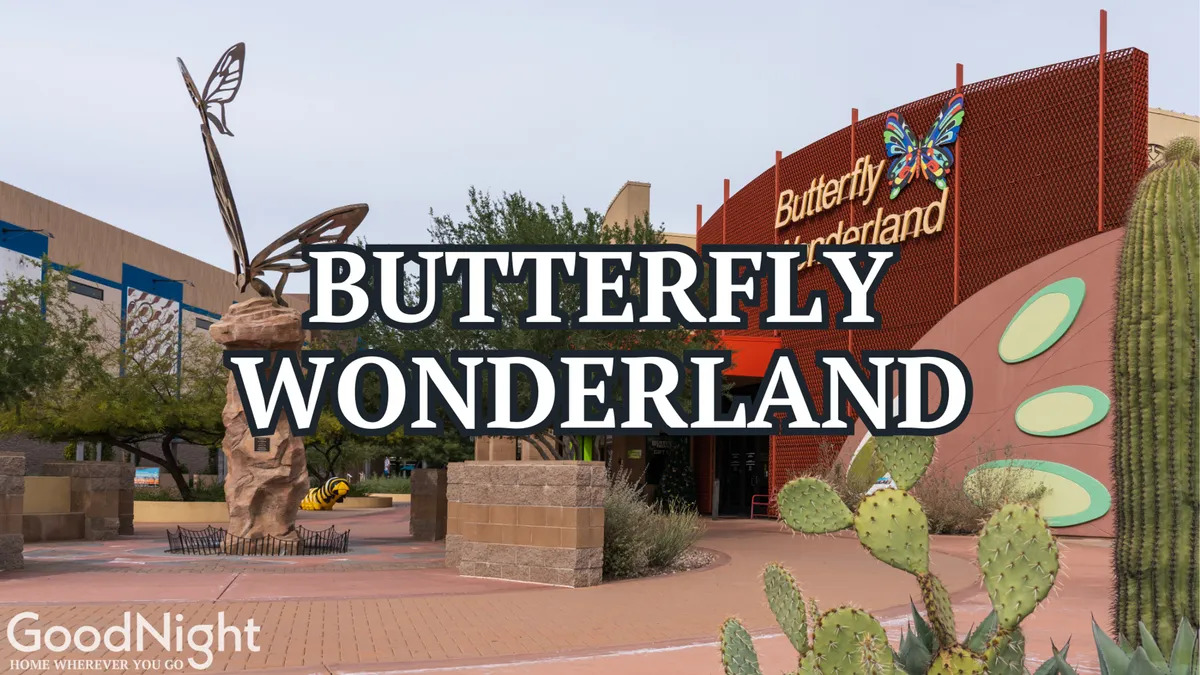 This exterior image shows the whimsical Butterfly Wonderland sign accompanied by a large butterfly sculpture, desert cacti, and an inviting outdoor pathway, setting the scene for a family-friendly nature adventure.